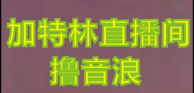 抖音加特林直播间搭建技术，抖音0粉开播，暴力撸音浪，2023新口子，每天800+【素材+详细教程】-桐创网