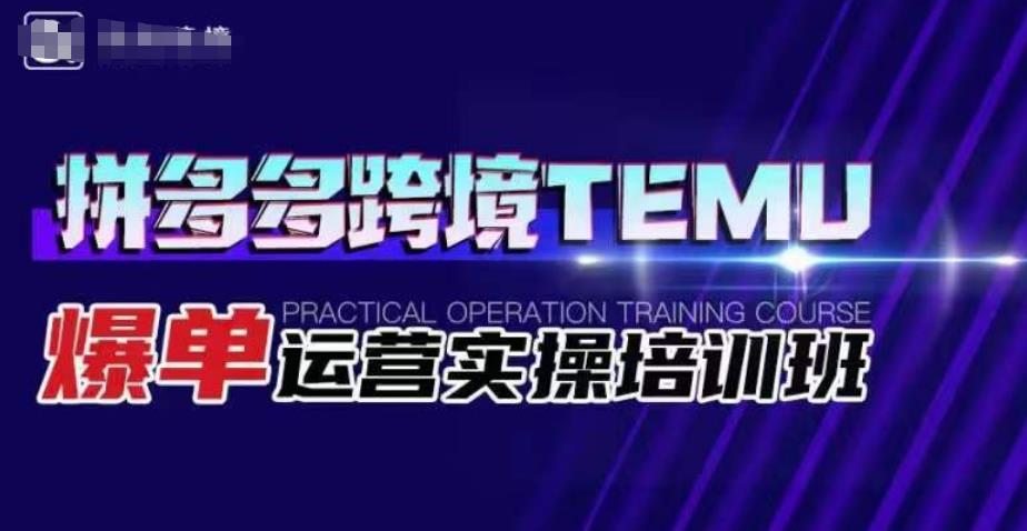 拼多多跨境TEMU爆单运营实操培训班，海外拼多多的选品、运营、爆单-桐创网