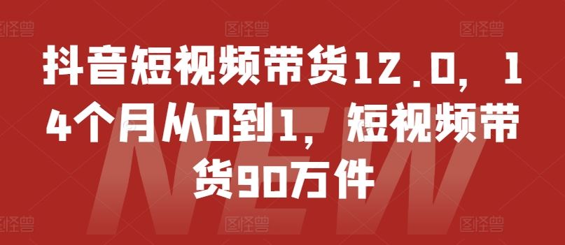 抖音短视频带货12.0，14个月从0到1，短视频带货90万件-桐创网