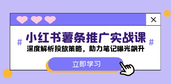 小红书-薯条推广实战课：深度解析投放策略，助力笔记曝光飙升-桐创网