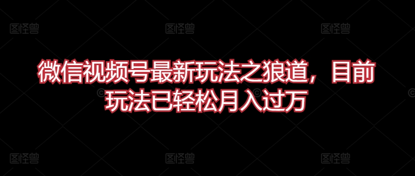 微信视频号最新玩法之狼道，目前玩法已轻松月入过万-桐创网