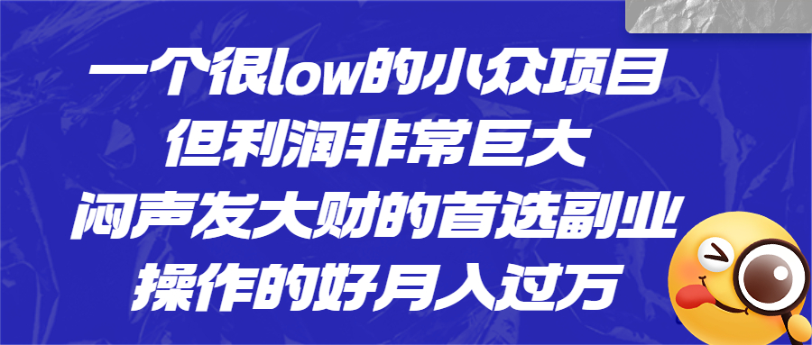 （6601期）一个很low的小众项目，但利润非常巨大，闷声发大财的首选副业，月入过万-桐创网