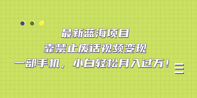 （7276期）最新蓝海项目，靠禁止废话视频变现，一部手机，小白轻松月入过万！-桐创网