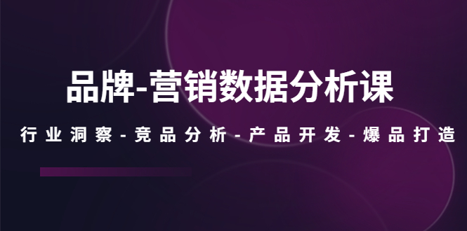 （5565期）品牌-营销数据分析课，行业洞察-竞品分析-产品开发-爆品打造-桐创网