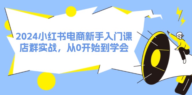 2024小红书电商新手入门课，店群实战，从0开始到学会（31节）-桐创网