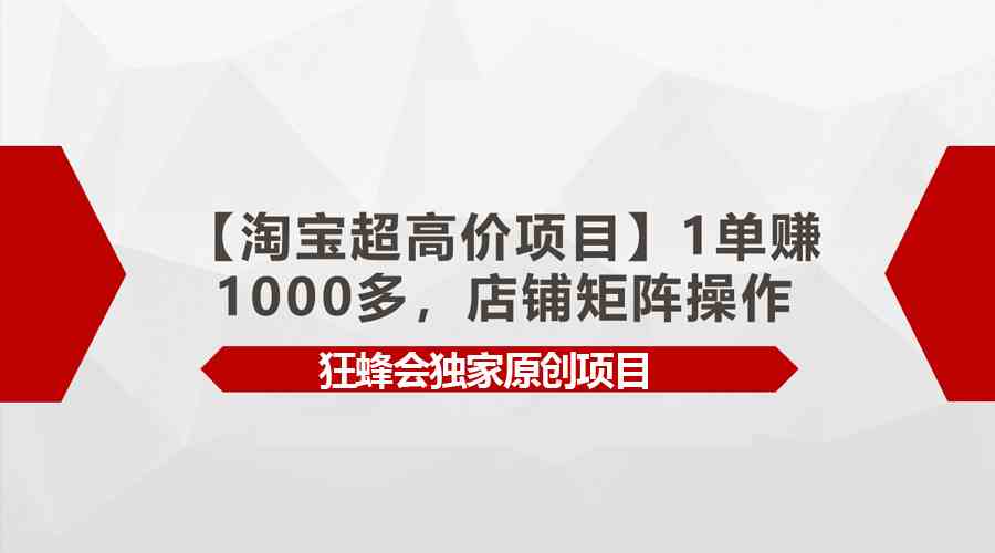 （9849期）【淘宝超高价项目】1单赚1000多，店铺矩阵操作-桐创网