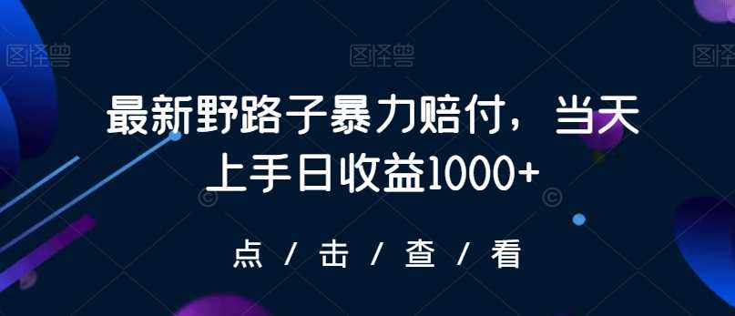 最新野路子暴力赔付，当天上手日收益1000+【仅揭秘】-桐创网