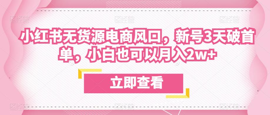 众狼电商余文小红书无货源电商风口，新号3天破首单，小白也可以月入2w+-桐创网