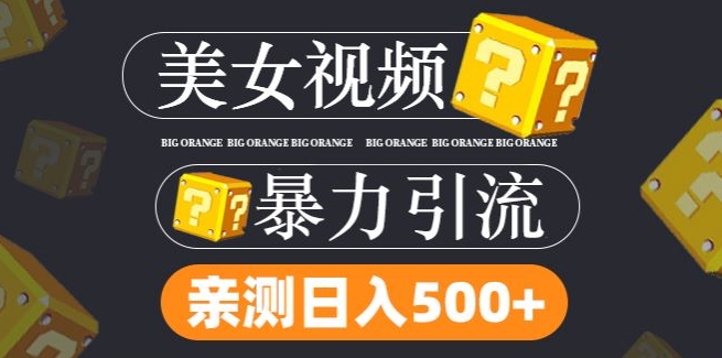 搬运tk美女视频全网分发，日引s粉300+，轻松变现，不限流量不封号-桐创网