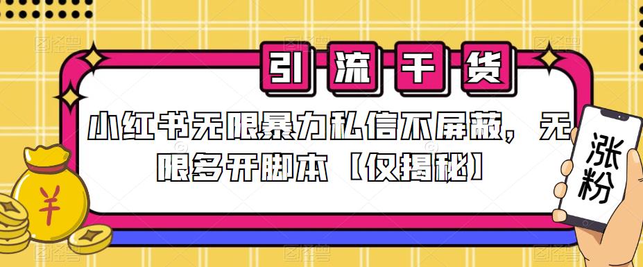 小红书无限暴力私信不屏蔽，无限多开脚本【仅揭秘】-桐创网