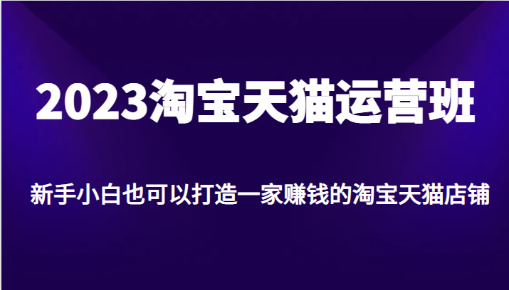 2023淘宝天猫运营班，新手小白也可以打造一家赚钱的淘宝天猫店铺-桐创网