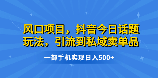 （6588期）风口项目，抖音今日话题玩法，引流到私域卖单品，一部手机实现日入500+-桐创网