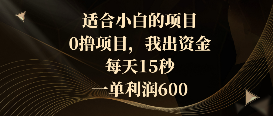 （8571期）适合小白的项目，0撸项目，我出资金，每天15秒，一单利润600-桐创网