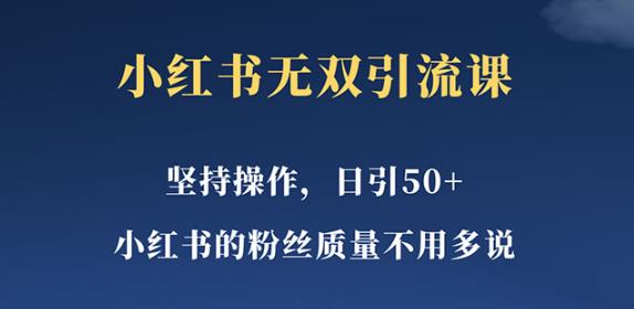 小红书无双课一天引50+女粉，不用做视频发视频，小白也很容易上手拿到结果【仅揭秘】-桐创网