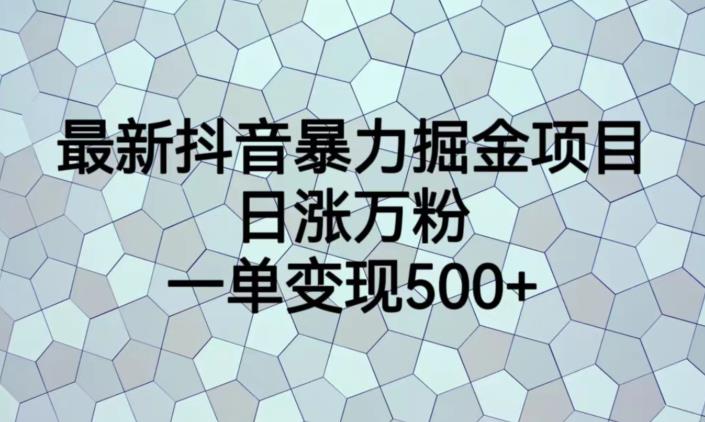 最新抖音暴力掘金项目，日涨万粉，一单变现500+【揭秘】-桐创网