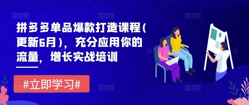 拼多多单品爆款打造课程(更新6月)，充分应用你的流量，增长实战培训-桐创网