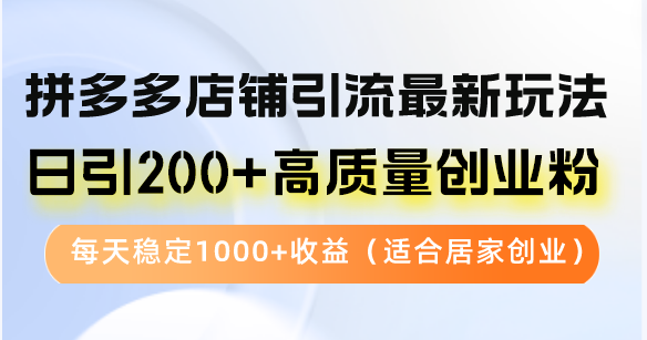 （12893期）拼多多店铺引流最新玩法，日引200+高质量创业粉，每天稳定1000+收益（…-桐创网