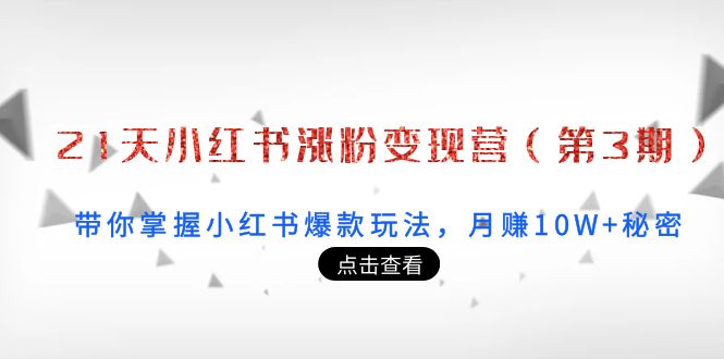 21天小红书涨粉变现营（第3期）：带你掌握小红书爆款玩法，月赚10W+秘密-桐创网