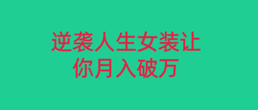 小红书女装无货源月入过万，只要努力就会有成效！-桐创网