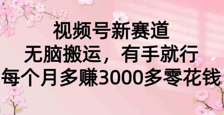 （9277期）视频号新赛道，无脑搬运，有手就行，每个月多赚3000多零花钱-桐创网