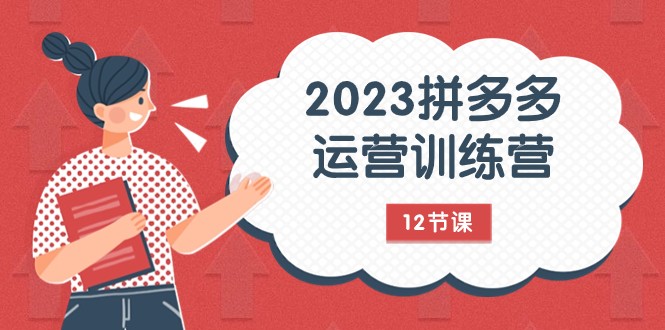 2023拼多多运营训练营：流量底层逻辑，免费+付费流量玩法（12节课）-桐创网