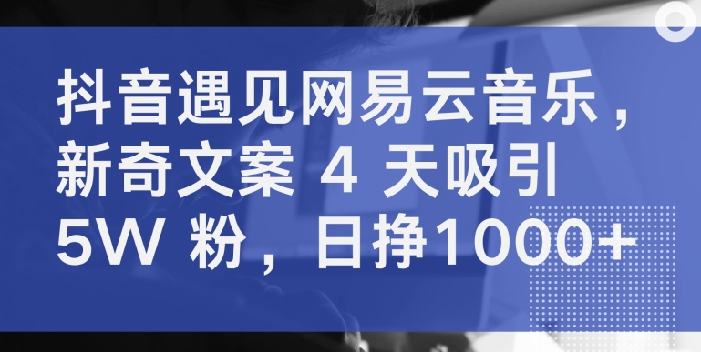 抖音遇见网易云音乐，新奇文案 4 天吸引 5W 粉，日挣1000+-桐创网