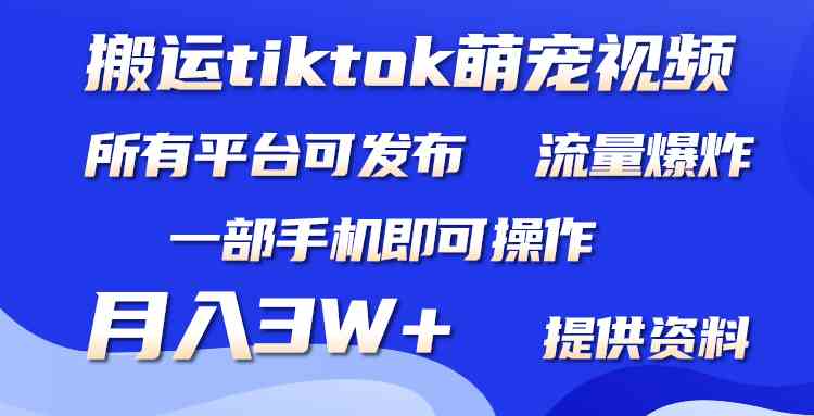 （9618期）搬运Tiktok萌宠类视频，一部手机即可。所有短视频平台均可操作，月入3W+-桐创网