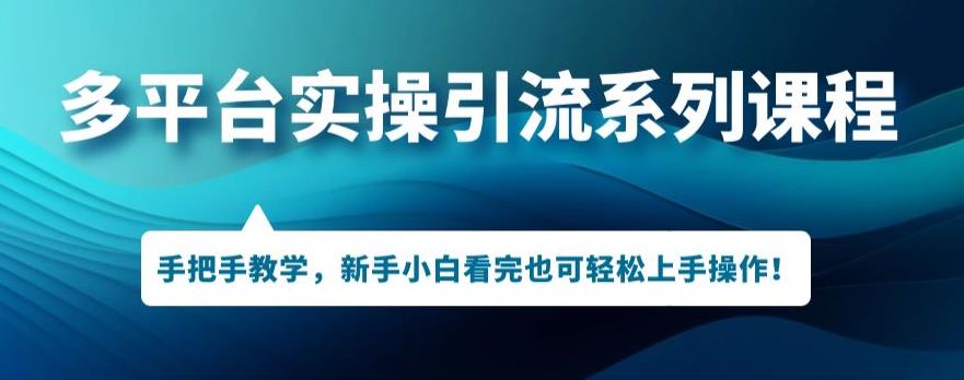 多平台引流实操系列课程，新手小白看完也可轻松上手进行引流操作-桐创网