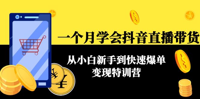 一个月学会抖音直播带货：从小白新手到快速爆单变现特训营(63节课)-桐创网