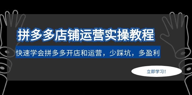 （4883期）拼多多店铺运营实操教程：快速学会拼多多开店和运营，少踩坑，多盈利-桐创网