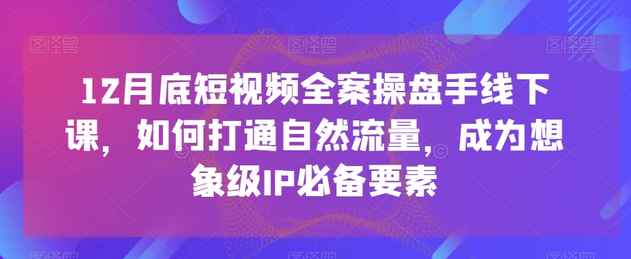 12月底短视频全案操盘手线下课，如何打通自然流量，成为想象级IP必备要素-桐创网