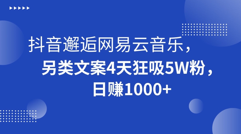 抖音邂逅网易云音乐，另类文案4天狂吸5W粉，日赚1000+【揭秘】-桐创网