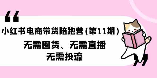 （9996期）小红书电商带货陪跑营(第11期)无需囤货、无需直播、无需投流（送往期10套）-桐创网