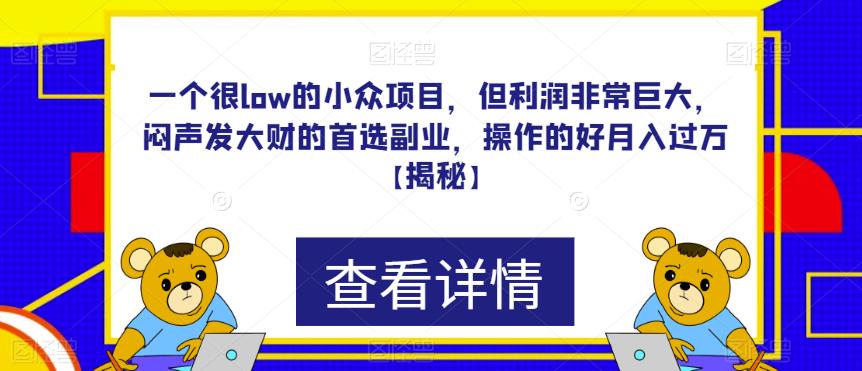 一个很low的小众项目，但利润非常巨大，闷声发大财的首选副业，操作的好月入过万【揭秘】-桐创网