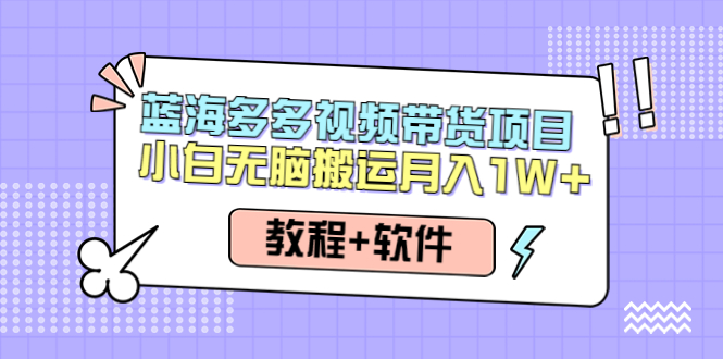 （4343期）人人都能操作的蓝海多多视频带货项目 小白无脑搬运月入10000+（教程+软件）-桐创网