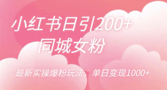 小红书日引200+同城女粉，最新实操爆粉玩法，单日变现1000+【揭秘】-桐创网