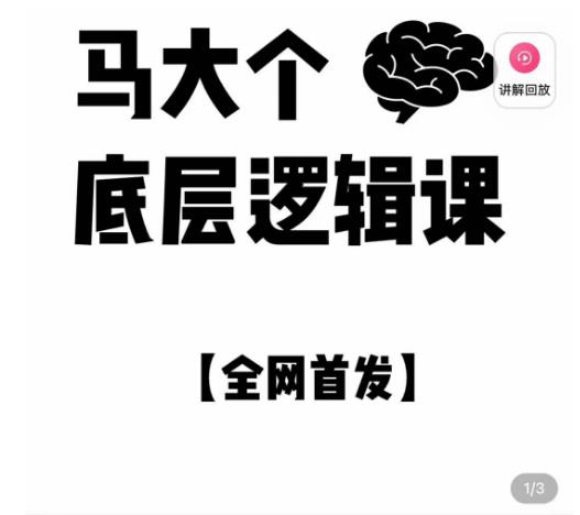 马大个·底层逻辑课，51节底层逻辑智慧课-价值1980元-桐创网