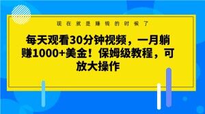 每天观看30分钟视频，一月躺赚1000+美金！保姆级教程，可放大操作【揭秘】-桐创网