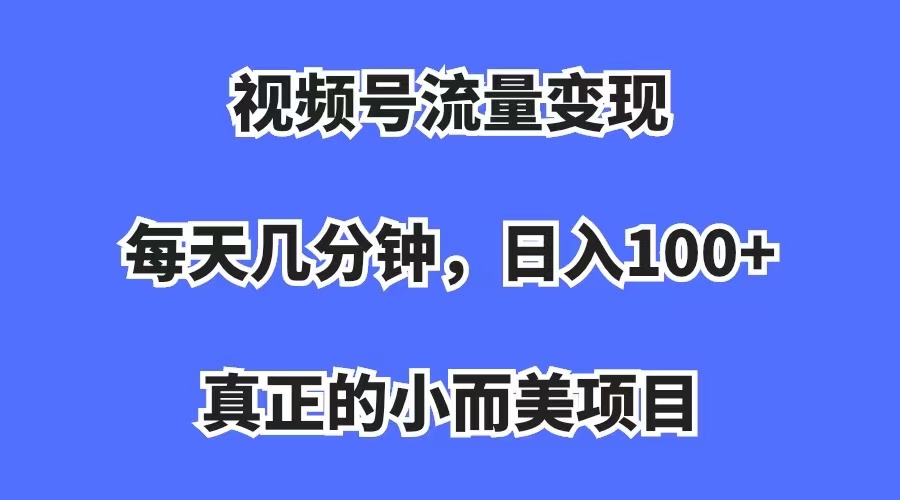 （7212期）视频号流量变现，每天几分钟，收入100+，真正的小而美项目-桐创网