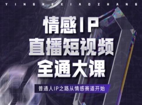 情感IP直播短视频全通大课，普通人IP之路从情感赛道开始-桐创网