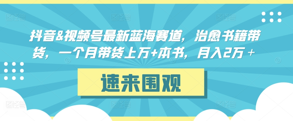 抖音&视频号最新蓝海赛道，治愈书籍带货，一个月带货上万+本书，月入2万＋-桐创网