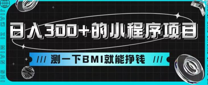 日入300+的小程序项目，测一下BMI就能挣钱【揭秘】-桐创网