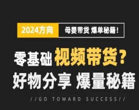 短视频母婴赛道实操流量训练营，零基础视频带货，好物分享，爆量秘籍-桐创网