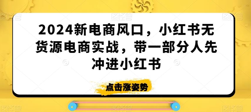 2024新电商风口，小红书无货源电商实战，带一部分人先冲进小红书-桐创网