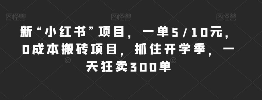 新“小红书”项目，一单5/10元，0成本搬砖项目，抓住开学季，一天狂卖300单【揭秘】-桐创网