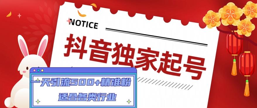 抖音独家起号，一天引流500+精准粉，适合各类行业（9节视频课）-桐创网