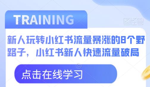 新人玩转小红书流量暴涨的8个野路子，小红书新人快速流量破局-桐创网