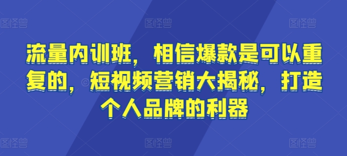 流量内训班，相信爆款是可以重复的，短视频营销大揭秘，打造个人品牌的利器-桐创网