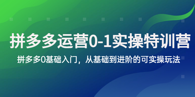 （5747期）拼多多-运营0-1实操训练营，拼多多0基础入门，从基础到进阶的可实操玩法-桐创网