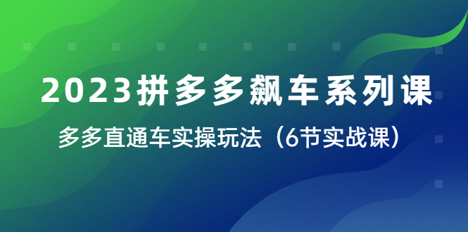 （6030期）2023拼多多飙车系列课，多多直通车实操玩法（6节实战课）-桐创网